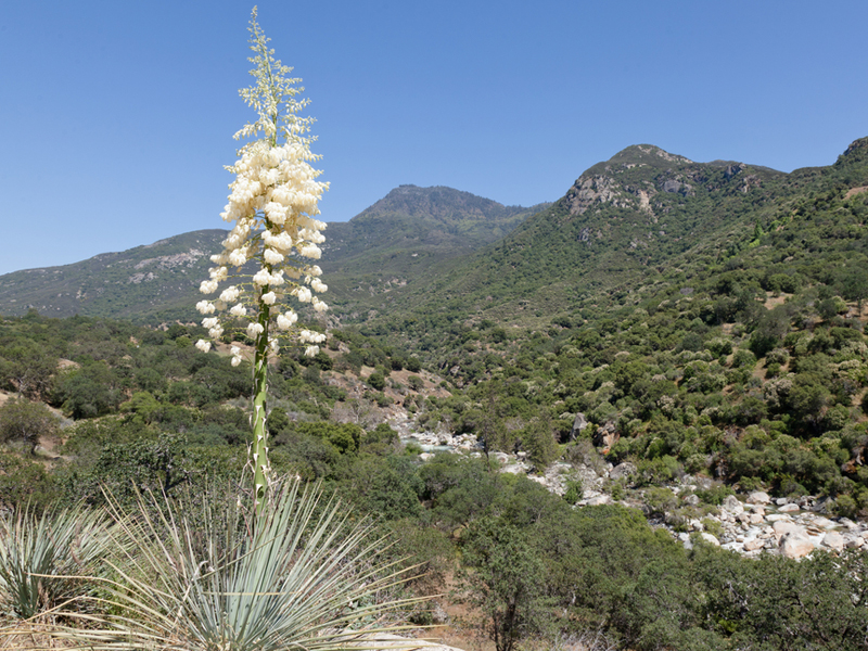 Mediterranean For Kids Location Climate Plants And Animals