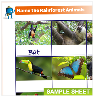 Rainforest Animals Names And Pictures - nature wallpaper